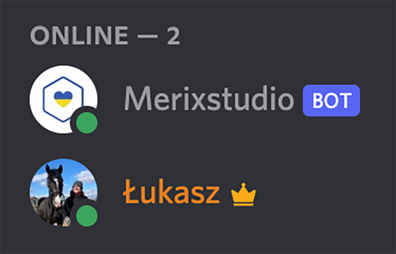 Bot online